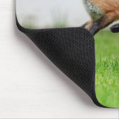 Tapis De Souris Trousse Red Fox dans la vallée de l'Hudson (Coin)