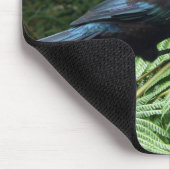 Tapis De Souris Tui (Coin)