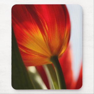 Tapis De Souris Tulip