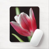 Tapis De Souris Tulip (Avec souris)