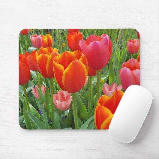 Tapis De Souris Tulip (Avec souris)