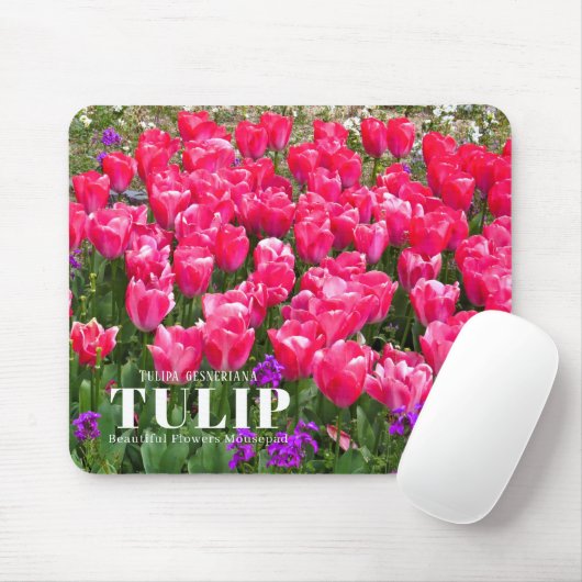 Tapis De Souris Tulip (Avec souris)