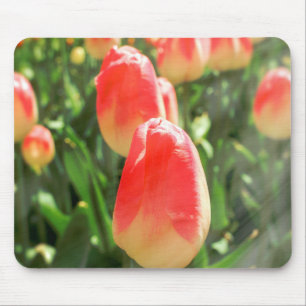 Tapis De Souris Tulip Heaven
