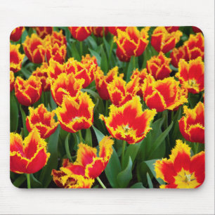 Tapis De Souris Tulipa Fabio, Keukenhof, Pays-Bas