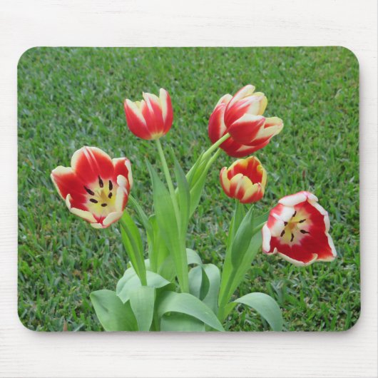 Tapis de souris Tulipe (Devant)