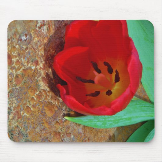 Tapis De Souris Tulipe jaune printemps et rouge (Devant)