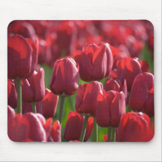 Tapis De Souris Tulipe Mousepad