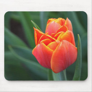 Tapis De Souris Tulipe orange