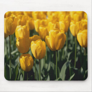 Tapis De Souris Tulipes 3