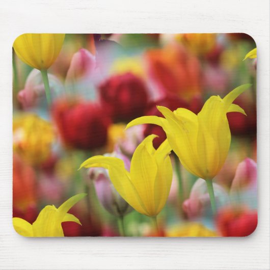 Tapis De Souris Tulipes au printemps (Devant)