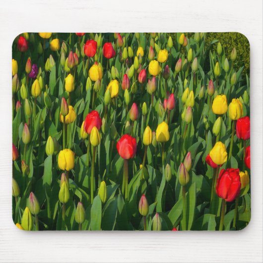 Tapis De Souris Tulipes colorées (Devant)