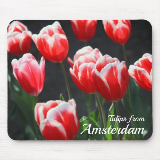 Tapis De Souris Tulipes d'Amsterdam (Devant)