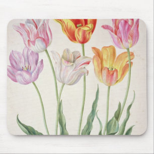 Tapis De Souris Tulipes, du "Florilegium de Nassau" (la semaine