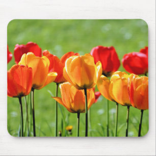 Tapis De Souris Tulipes jaunes et rouges