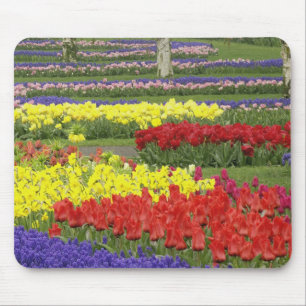 Tapis De Souris Tulipes, Muscari et Jonquilles, 2