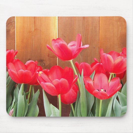 Tapis De Souris Tulipes peintes (Devant)