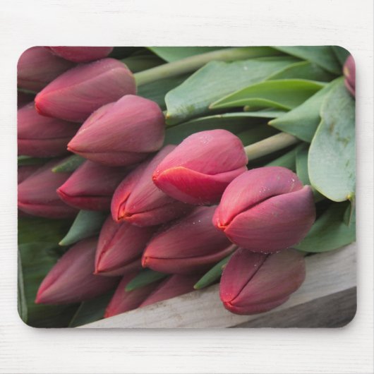 Tapis De Souris Tulipes printanières fraîches (Devant)