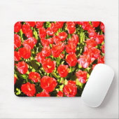 Tapis De Souris Tulipes rouges (Avec souris)
