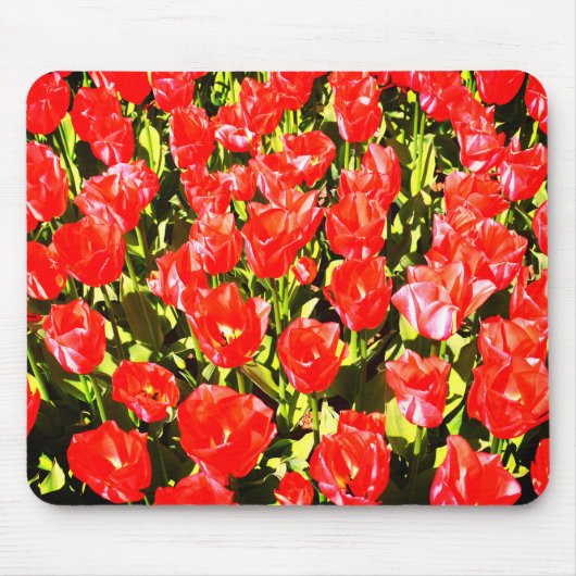 Tapis De Souris Tulipes rouges (Devant)