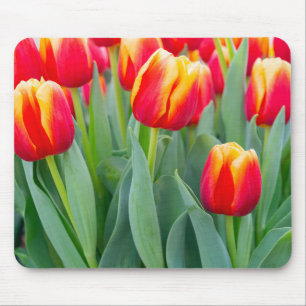 Tapis De Souris Tulipes rouges et jaunes vibrantes dans un jardin