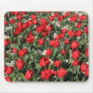 Tapis De Souris Tulipes rouges et Primroses blanches