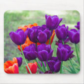 Tapis De Souris Tulipes violettes foncées par beau temps dans le j (Devant)