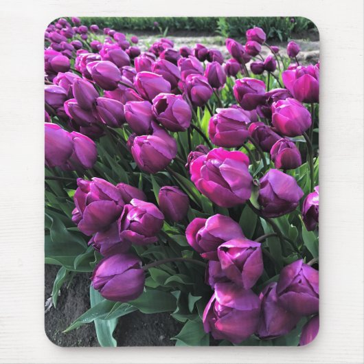 Tapis De Souris Tulips de Purple (Devant)