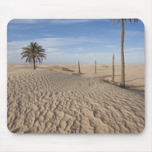 Tapis De Souris Tunisie, désert du Sahara, Douz, Grande Dune, aube (Devant)
