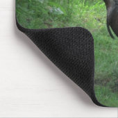 Tapis De Souris Turquie sauvage américaine (Coin)