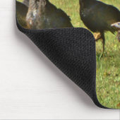 Tapis De Souris Turquie sauvage, couleurs du Camouflage (Coin)