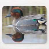 Tapis De Souris Turquoise à ailes vertes (Devant)