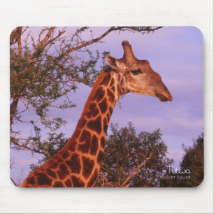 Tapis De Souris Tutwa, girafe en tetswana, Mousepad