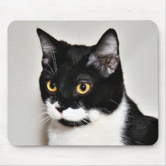 Tapis De Souris Tuxedo