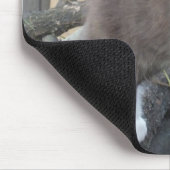 Tapis De Souris Tuxedo Kitten (Coin)