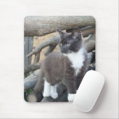 Tapis De Souris Tuxedo Kitten (Avec souris)