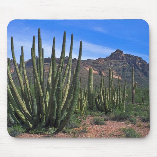 Tapis De Souris Tuyaux d'organe dans le désert (Devant)