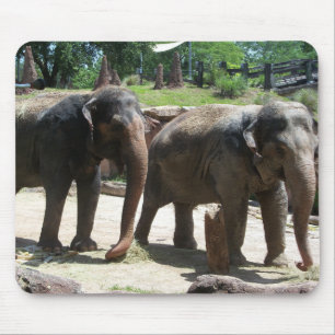 Tapis De Souris Two Elephants