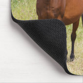 Tapis De Souris Two horses in a field (Coin)
