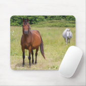 Tapis De Souris Two horses in a field (Avec souris)