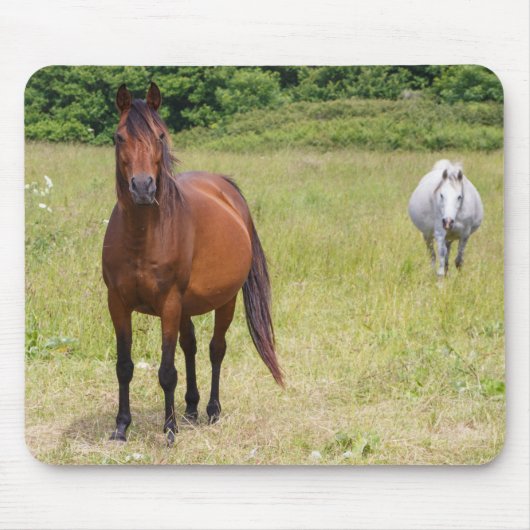 Tapis De Souris Two horses in a field (Devant)