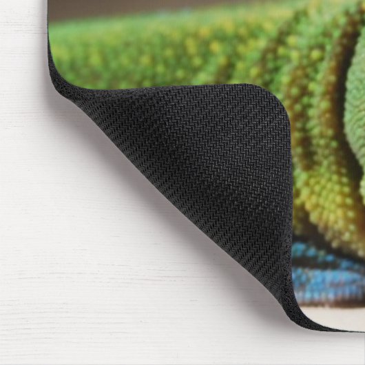 Tapis De Souris Type vert (Coin)