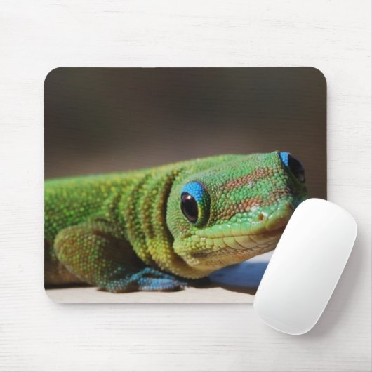 Tapis De Souris Type vert (Avec souris)