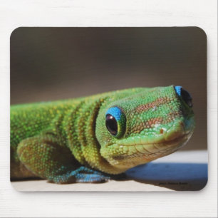 Tapis De Souris Type vert