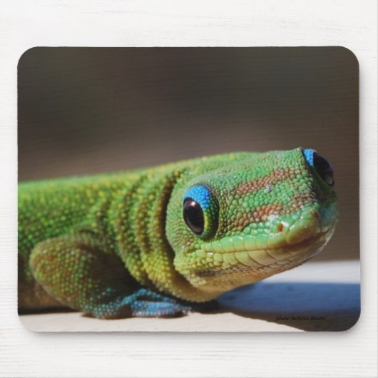 Tapis De Souris Type vert (Devant)