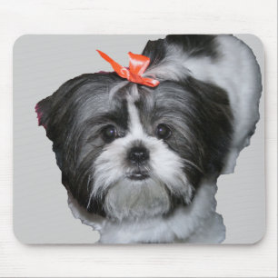 Tapis De Souris tzu de shih