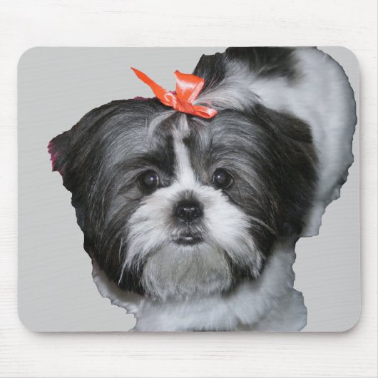 Tapis De Souris tzu de shih (Devant)