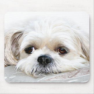 Tapis De Souris tzu mousepad