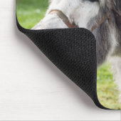 Tapis De Souris Un âne (Coin)