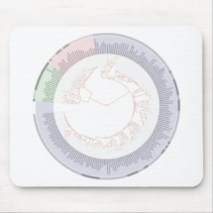 Tapis De Souris Un arbre phylogénétique de diagramme de la vie