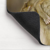 Tapis De Souris Un bébé babon jaune (Papio (Coin)